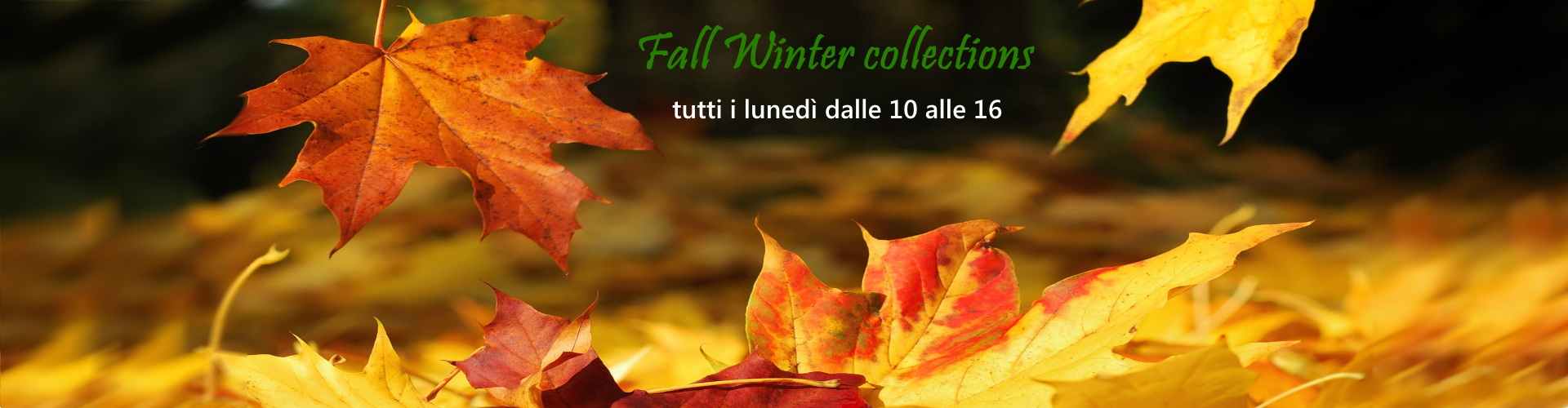 slide-autunno